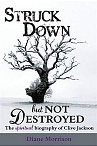 Struck Down But Not Destroyed - the Spiritual Biography of C (Paperback)