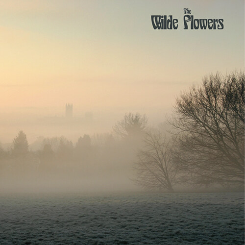 [수입] The Wilde Flowers - The Wilde Flowers [180g LP]