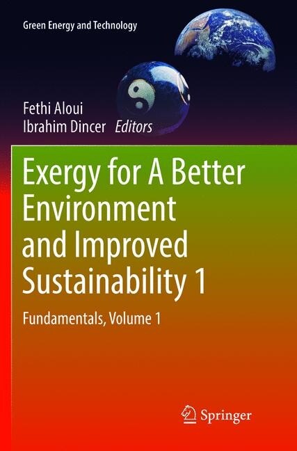 Exergy for a Better Environment and Improved Sustainability 1: Fundamentals (Paperback, Softcover Repri)