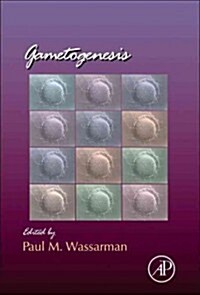 Gametogenesis: Volume 102 (Hardcover)