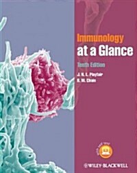 [중고] Immunology at a Glance. J.H.L. Playfair, B.M. Chain (Paperback, 10 ed)