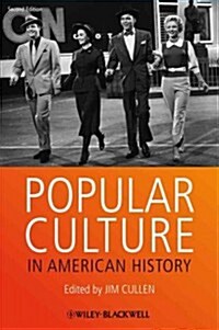 Popular Culture in American History (Paperback, 2 ed)