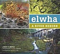 Elwha: A River Reborn (Paperback)