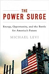The Power Surge: Energy, Opportunity, and the Battle for Americas Future (Hardcover)