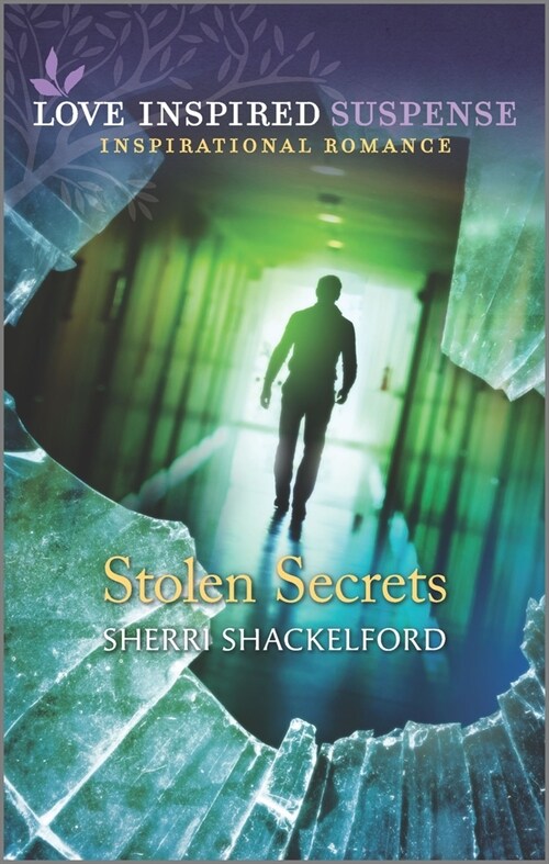 Stolen Secrets (Mass Market Paperback, Original)