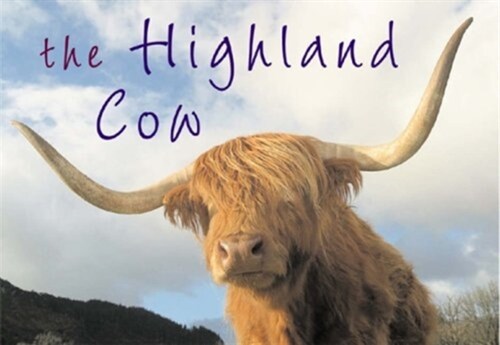 The Highland Cow (Paperback)