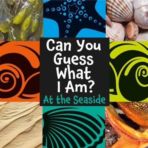Can You Guess What I Am?: At the Seaside (Paperback, Illustrated ed)