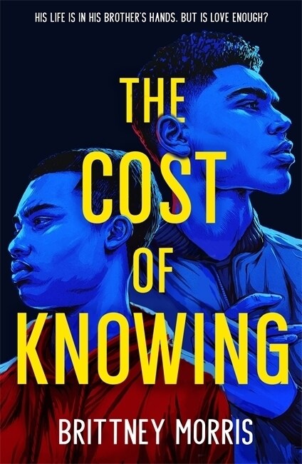 The Cost of Knowing (Paperback)