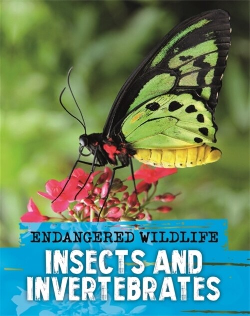Endangered Wildlife: Rescuing Insects and Invertebrates (Paperback)