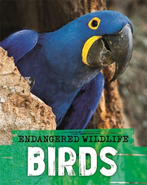 Endangered Wildlife: Rescuing Birds (Paperback)