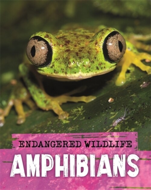 Endangered Wildlife: Rescuing Amphibians (Paperback)