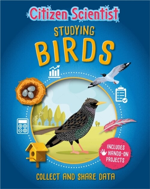 Citizen Scientist: Studying Birds (Paperback)
