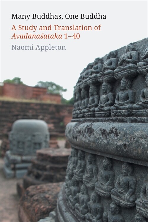 Many Buddhas, One Buddha : A Study and Translation of Avadanasataka 1-40 (Paperback)