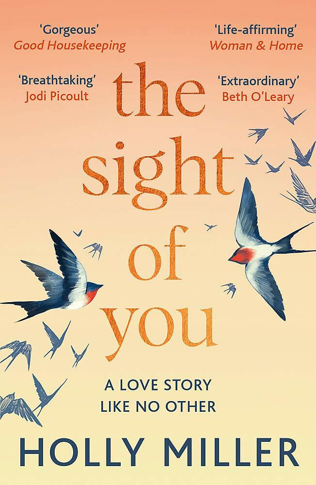 The Sight of You : A love story like no other (Paperback)