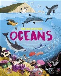 (The Big Picture) Oceans