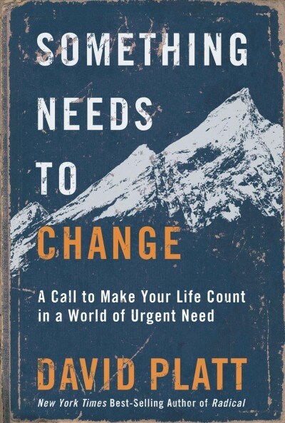 Something Needs to Change : A Call to Make Your Life Count in a World of Urgent Need (Paperback)