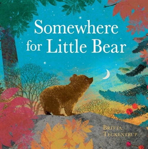 Somewhere for Little Bear (Hardcover)