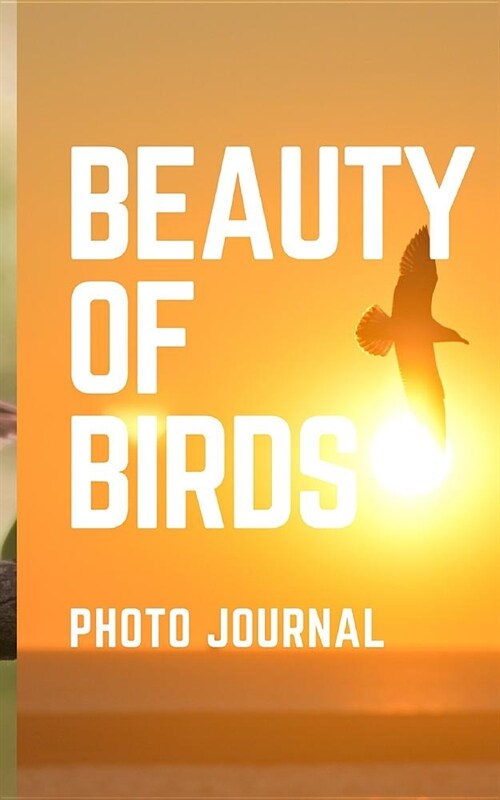 Beauty of Birds (Paperback)