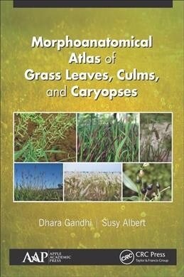 Morphoanatomical Atlas of Grass Leaves, Culms, and Caryopses (Hardcover, 1)