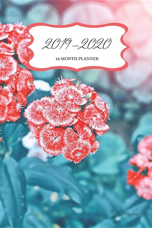 2019 - 2020 18 Month Planner; Red Flowers: US Month to View Calendar, Schedule Planner and Appointment Diary (Paperback)