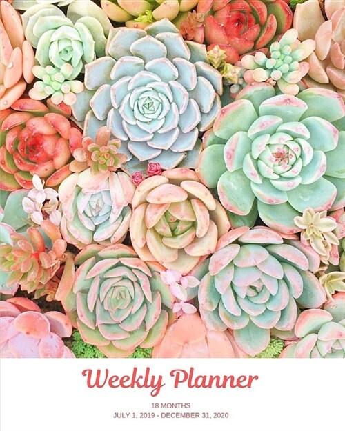 Weekly Planner: Succulents; 18 months; July 1, 2019 - December 31, 2020; 8 x 10 (Paperback)