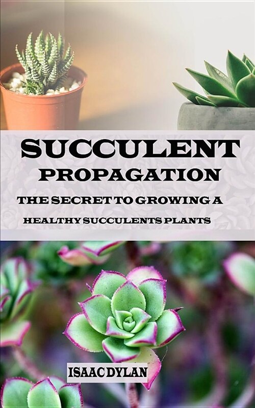Succulents Propagation: The Secrets to Growing a Healthy Succulent Plants (Paperback)