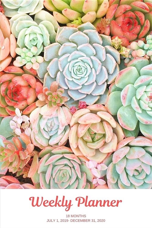 Weekly Planner: Succulents; 18 months; July 1, 2019 - December 31, 2020; 6 x 9 (Paperback)