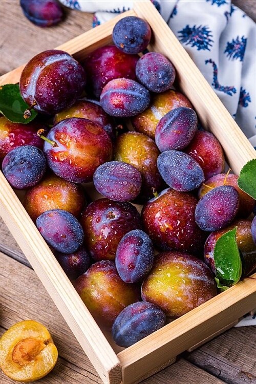 Plums from the Garden Journal: 150 Page Lined Notebook/Diary (Paperback)