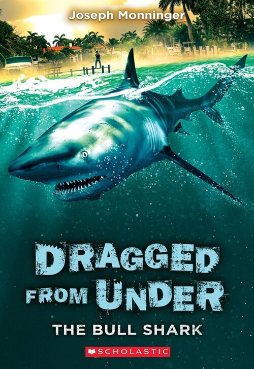 The Bull Shark (Dragged from Under #1): Volume 1 (Paperback)