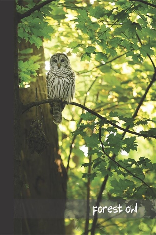 forest owl: small lined Forest Notebook / Journal to write in (6 x 9) (Paperback)