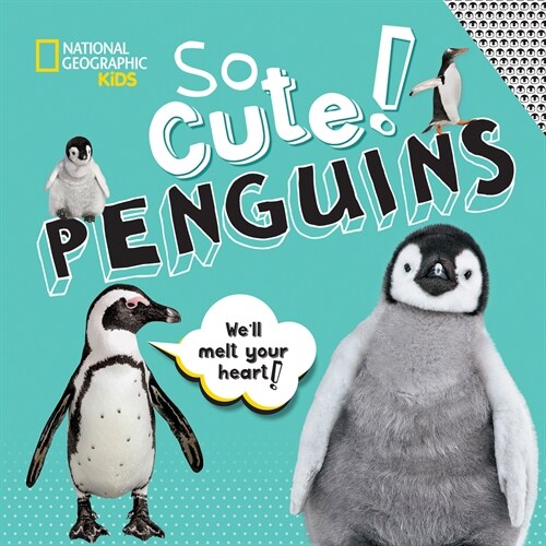 So Cute! Penguins (Hardcover)