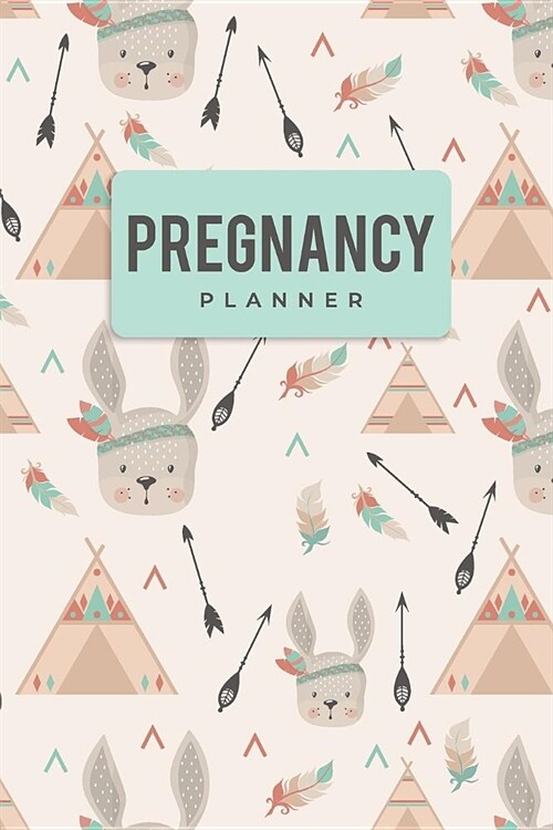 Pregnancy Planner: Undated Monthly and Weekly Planner With Checklist and Guideline for New Mom (Paperback)