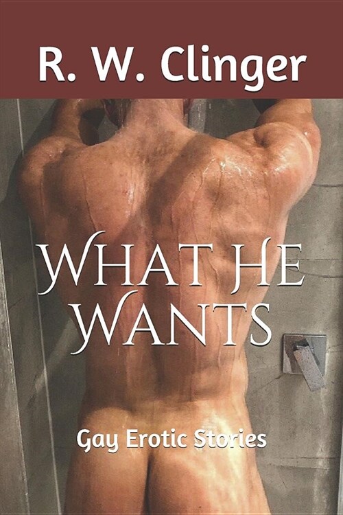 What He Wants: Gay Erotic Stories (Paperback)