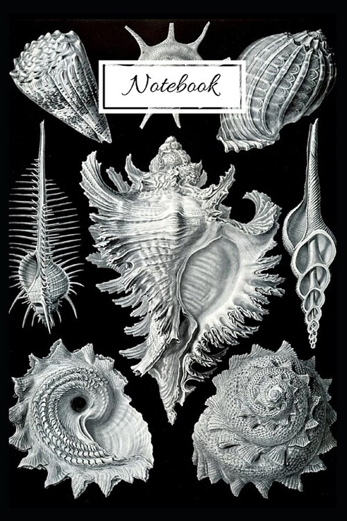 Notebook: Vintage Nature Journal Featuring Seashells By Haeckel (6 x 9 Lined Notebook, 110 pages) (Paperback)