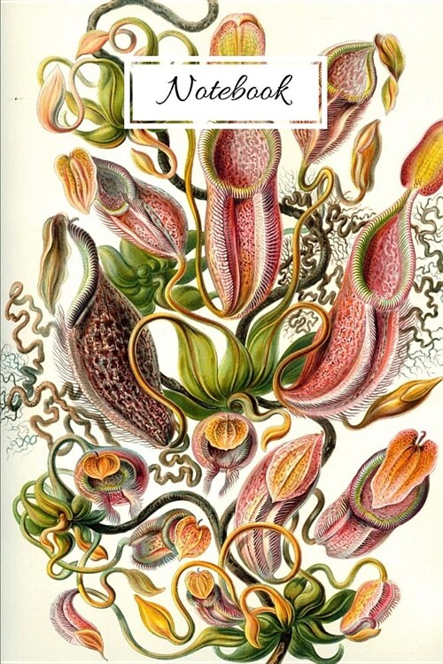 Notebook: Vintage Nature Journal Featuring Pitcher Plants By Haeckel (6 x 9 Lined Notebook, 110 pages) (Paperback)