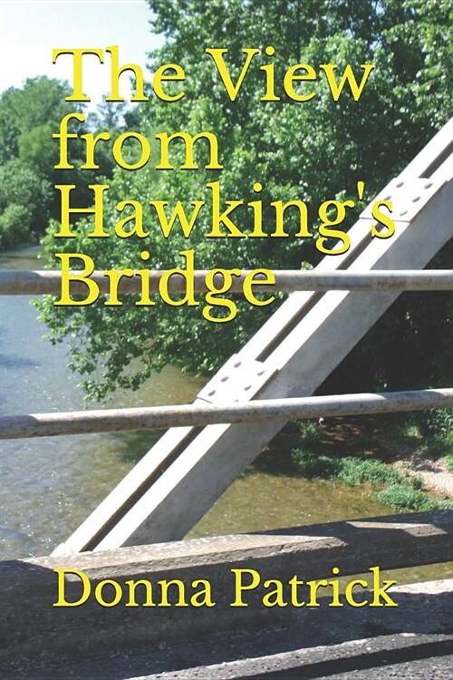 The View from Hawkings Bridge (Paperback)