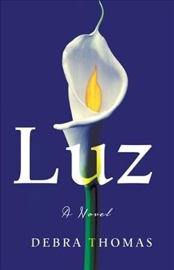 Luz (Paperback)