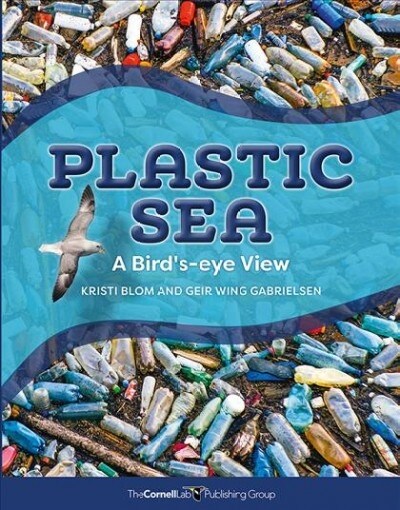 Plastic Sea: A Birds-Eye View (Hardcover)