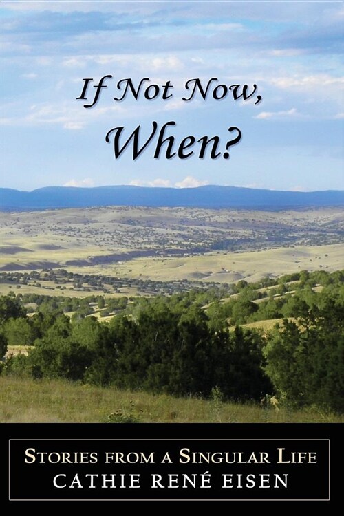 If Not Now, When?: Stories from a Singular Life (Paperback)