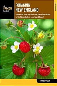Foraging New England: Edible Wild Food and Medicinal Plants from Maine to the Adirondacks to Long Island Sound (Paperback, 2)