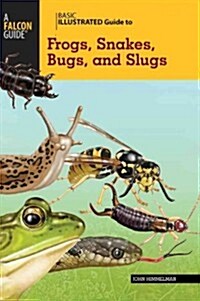 Basic Illustrated Guide to Frogs, Snakes, Bugs, and Slugs (Paperback)