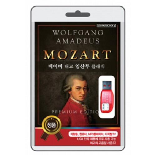 [중고] [USB] 모차르트(MOZART)