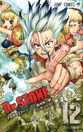 Dr.STONE 12 (ジャンプコミックス) (コミック)