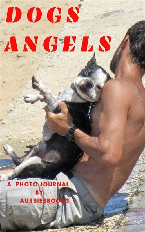 Dogs angels (Paperback)