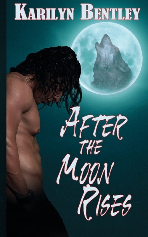 After the Moon Rises (Paperback)