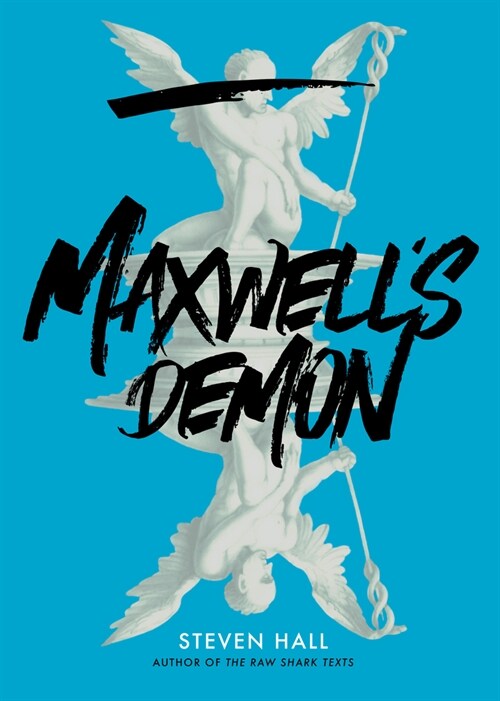 Maxwells Demon (Hardcover)