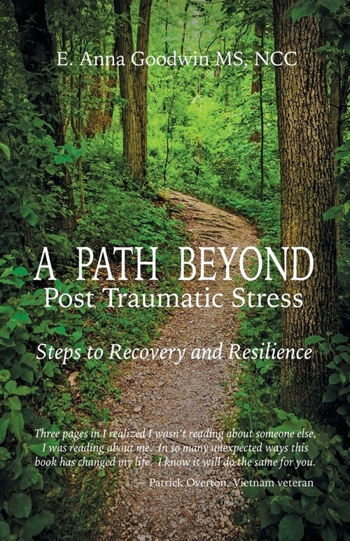 A Path Beyond Post Traumatic Stress: Steps to Recovery and Resilience (Paperback)