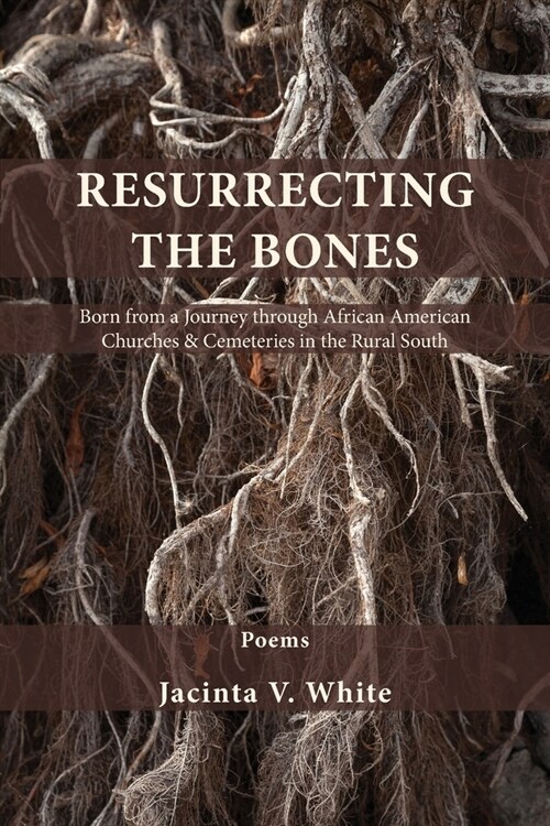 Resurrecting the Bones: Born from a Journey through African American Churches & Cemeteries in the Rural South (Paperback)