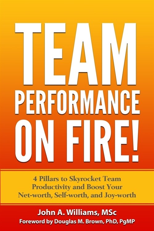 Team Performance on Fire!: 4 Pillars to Skyrocket Team Productivity and Boost Your Net-worth, Self-worth, and Joy-worth (Paperback)