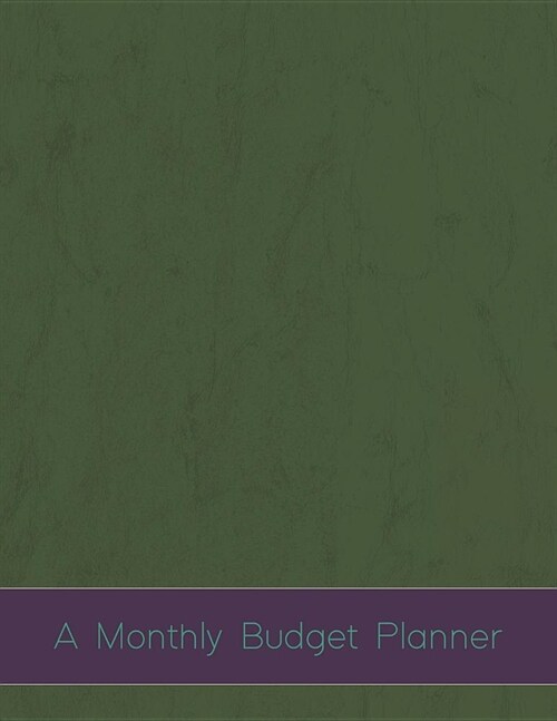 A Monthly Budget Planner: Finance Planning, Organizer for Expense Tracking, Workbook for Personal Financial Success July 2019-December 2020 with (Paperback)